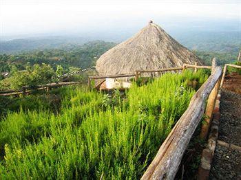 מושי Mount Kilimanjaro View Lodge מראה חיצוני תמונה