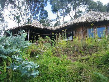 מושי Mount Kilimanjaro View Lodge מראה חיצוני תמונה