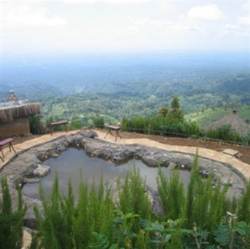 מושי Mount Kilimanjaro View Lodge מראה חיצוני תמונה