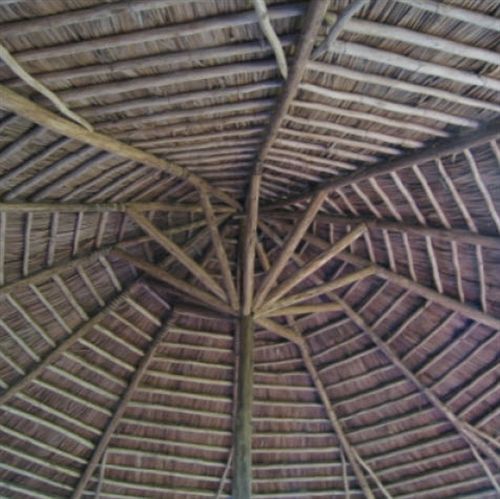 מושי Mount Kilimanjaro View Lodge מראה חיצוני תמונה