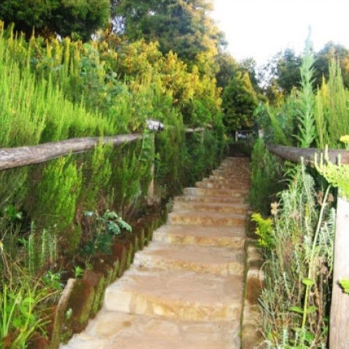 מושי Mount Kilimanjaro View Lodge מראה חיצוני תמונה