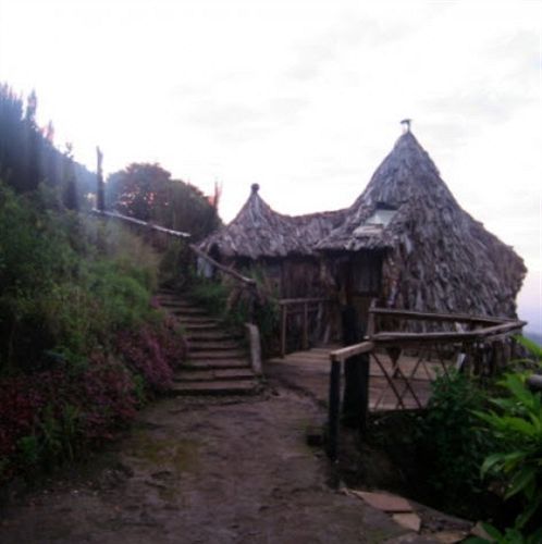 מושי Mount Kilimanjaro View Lodge מראה חיצוני תמונה